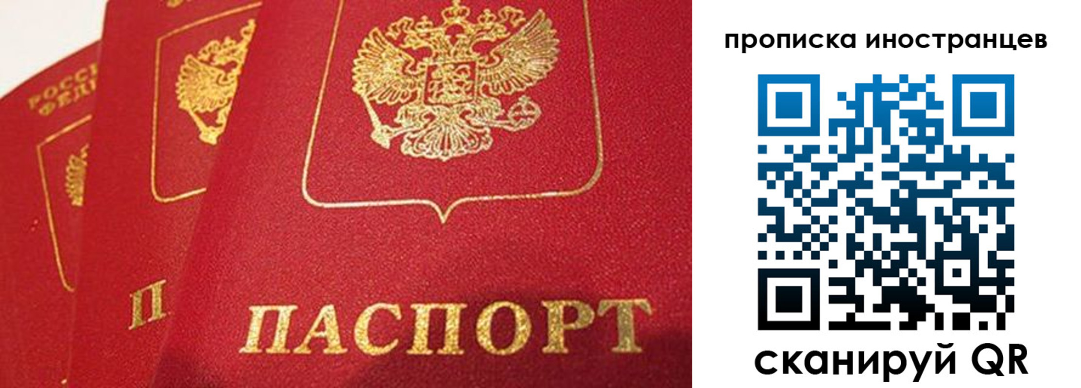 временная регистрация недорого в Алексине